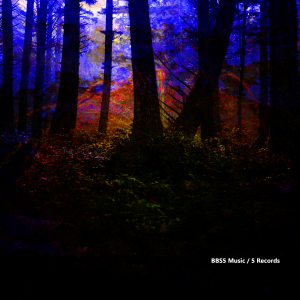 imschutzderdunkelheit1900