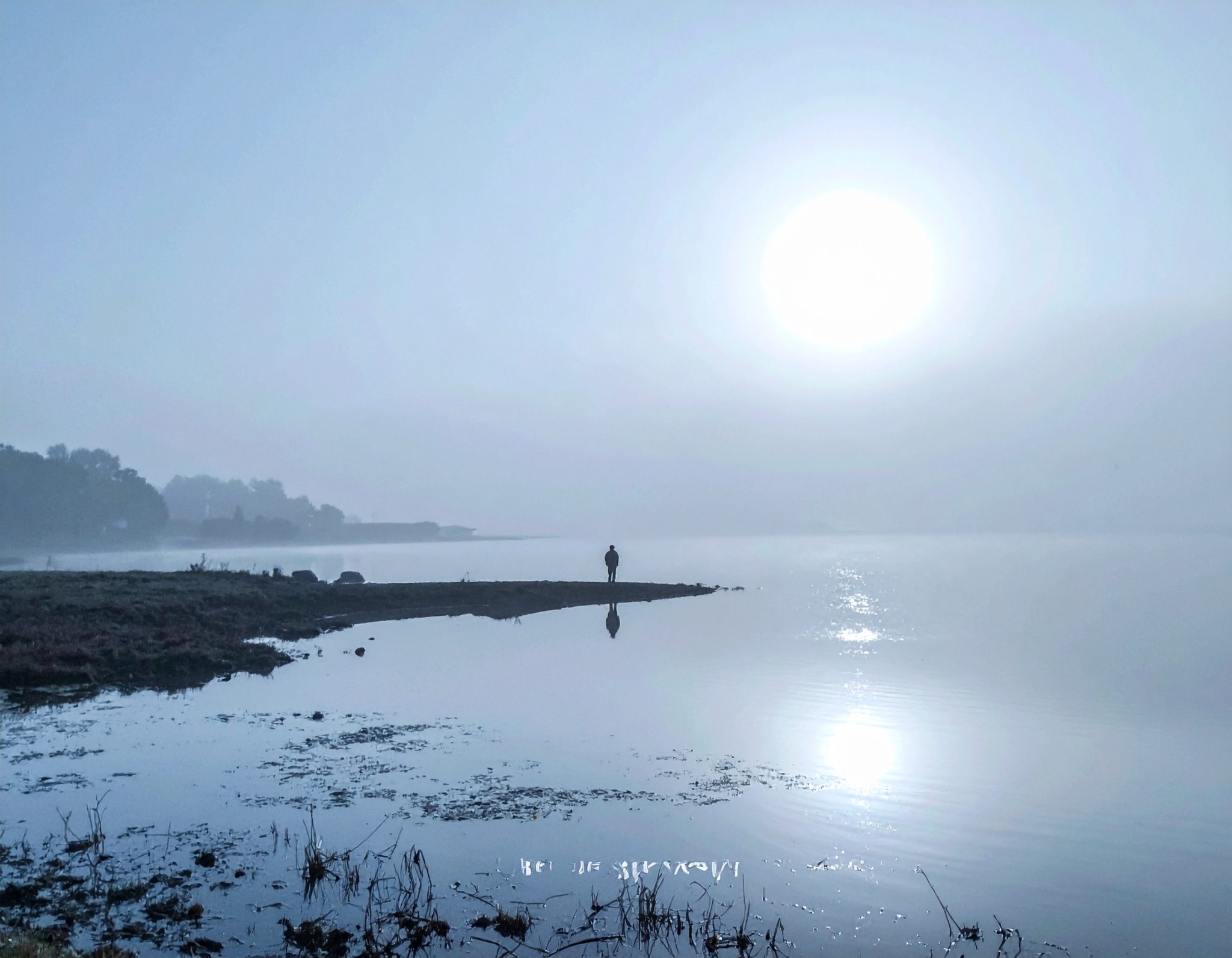 Firefly A cinematic melancholic artwork titled Blue Shadow. Soft blue and silver tones mi 66643 scaled