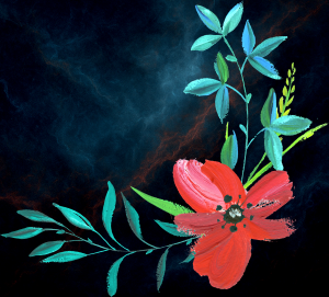 bright sightcover3000